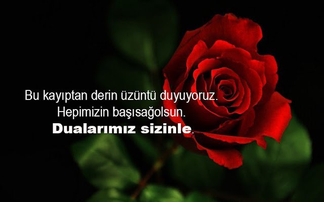 Taziye Mesajları, Taziye Sözleri, Başsağlığı Mesajları