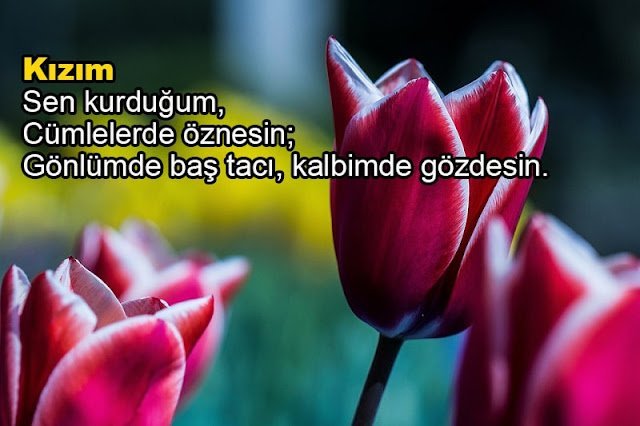 Babadan Kızına kısa Sözler