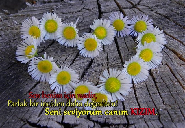 babasından kızına sözler babasından kızına sözler