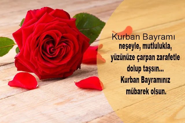 Kurban Bayramı Kutlama Mesajları