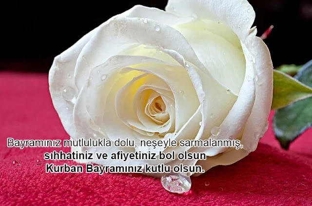 Kurban Bayramı Mesajı
