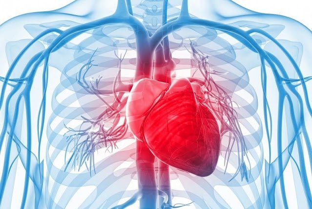 Rüyada kalp hastası olduğunu ve kalp krizi geçirdiğini görmek, rüya yorumu