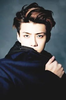 Güney Koreli Erkek Saç Modelleri 21 Güney Koreli Erkek Saç Modelleri 21