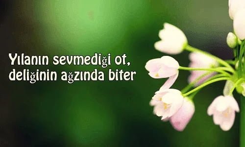 Ağız İle İlgili Atasözleri ve Anlamları