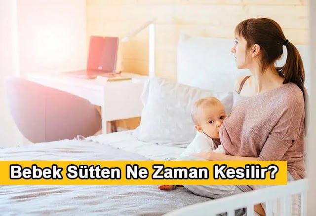 Bebek Sütten Ne Zaman Kesilir?