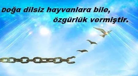 özgürlük sözleri