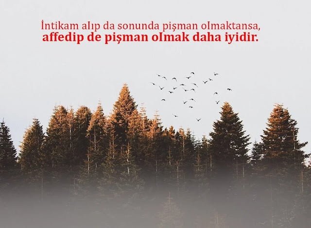 Deli Dolu Anlamlı Sözler