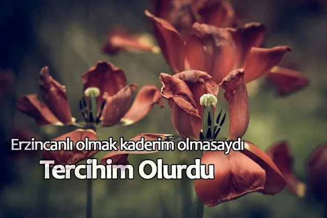 Erzincan İle İlgili Sözler