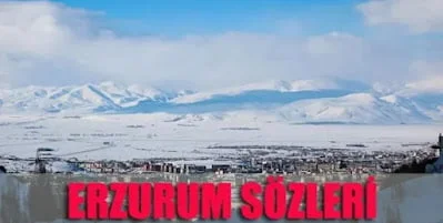 Erzurum İle İlgili Sözler