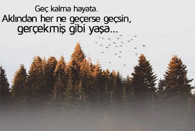 Geç Kalmak İle İlgili Güzel Sözler