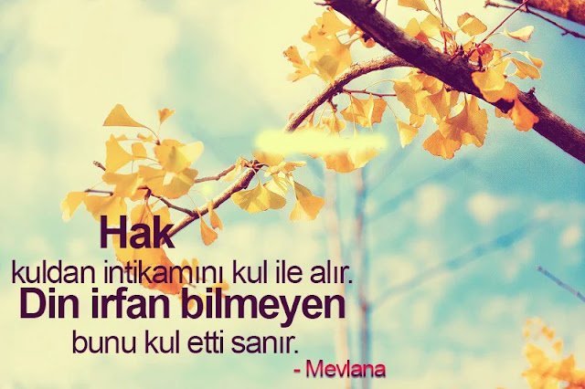 Kul Hakkı İle ilgili Sözler kısa hak yiyenlere sözler