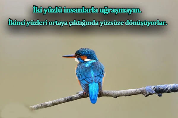 Menfaat İle İlgili Manalı Sözler