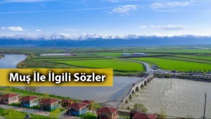 Muş İle İlgili Sözler Muş İle İlgili Sözler