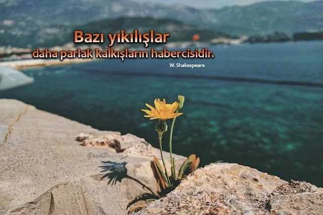 pes etmemek ile ilgili sözler