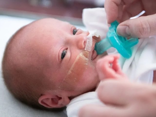 Prematüre Bebek Maması