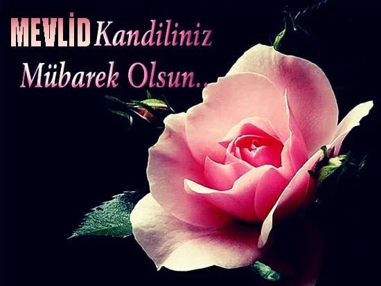 Resimli Mevlid Kandili Sözleri Resimli Mevlid Kandili Sözleri