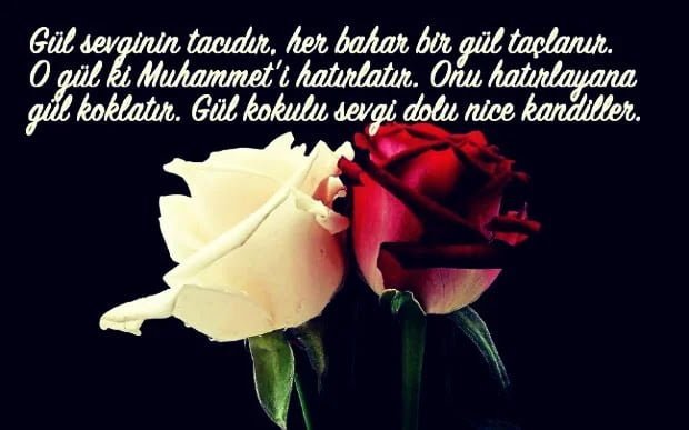 Resimli Mevlid Kandili Sözleri Resimli Mevlid Kandili Sözleri