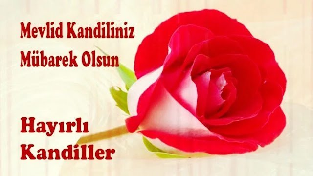 Resimli Mevlid Kandili Sözleri Resimli Mevlid Kandili Sözleri