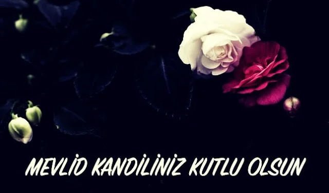 Resimli Mevlid Kandili Sözleri Resimli Mevlid Kandili Sözleri