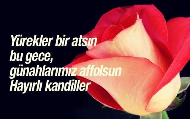 Resimli Mevlid Kandili Sözleri Resimli Mevlid Kandili Sözleri