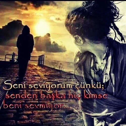 Seni Seviyorum Çünkü Sözleri
