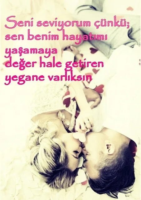 Seni Seviyorum Çünkü Sözleri