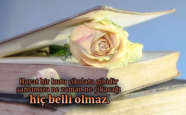 Seni Seviyorum sözleri sevgiliye