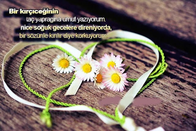 İnsan Sevdiğini Söylemeli mi İnsan Sevdiğini Söylemeli mi