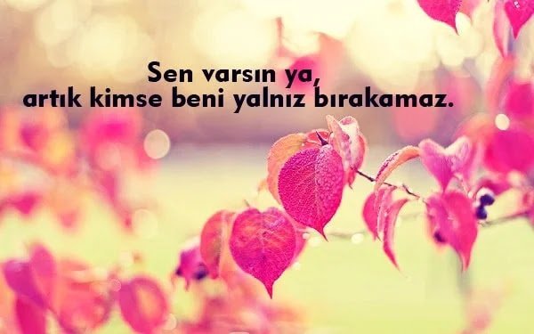 sevgiliye güzel sözler sevgiliye duygusal güzel sözler