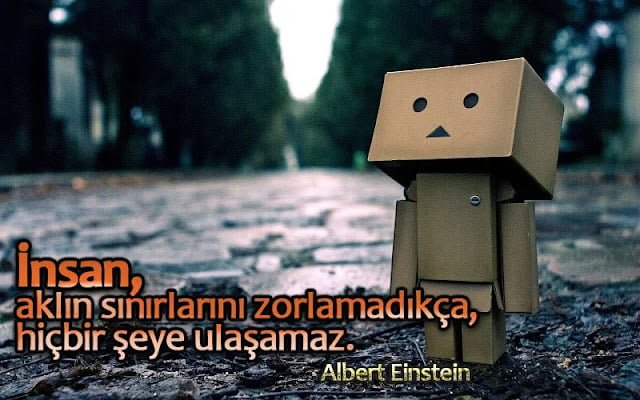 akıl ile ilgili sözler