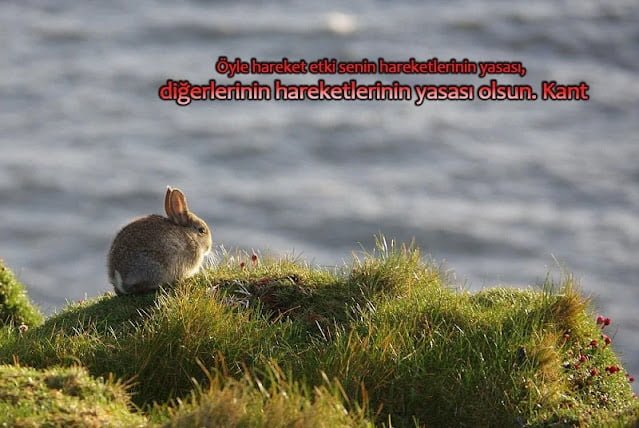 Alçak Gönüllülük İle İlgili Sözler Alçak Gönüllülük İle İlgili Sözler