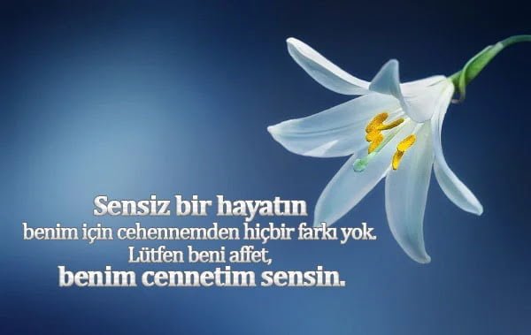 Anlamlı Özür Dileme Sözleri Anlamlı Özür Dileme Sözleri