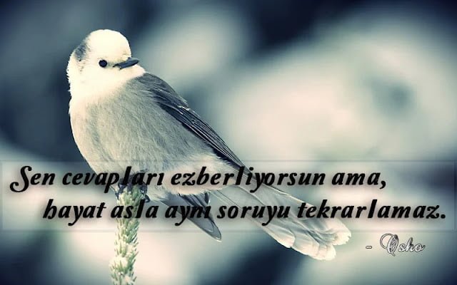 Osho Sözleri
