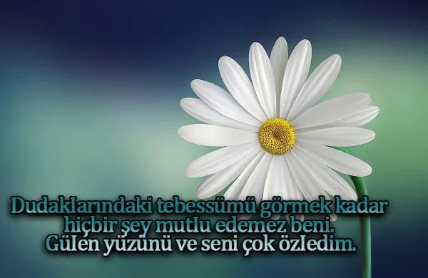 Arkadaşa özür sözleri Arkadaşa özür sözleri