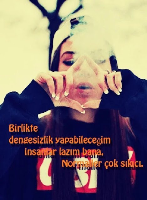 Çılgın Sözler Anlamlı