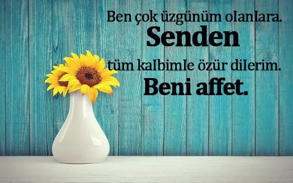 Özür Dileme Sözleri, Özür Sözleri