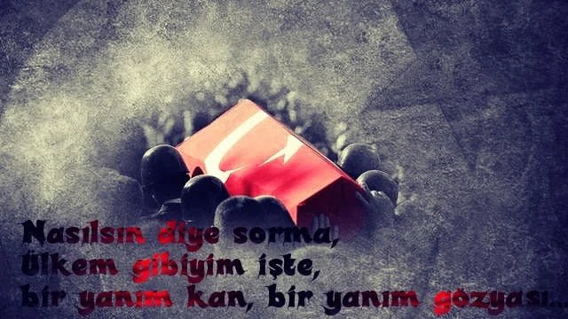 Şehit Sözleri Anlamlı / Şehitler İçin Sözler Şehit Sözleri