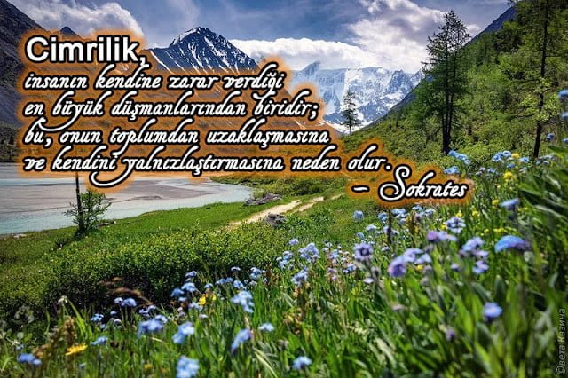 Cimrilik İle İlgili Sözler
