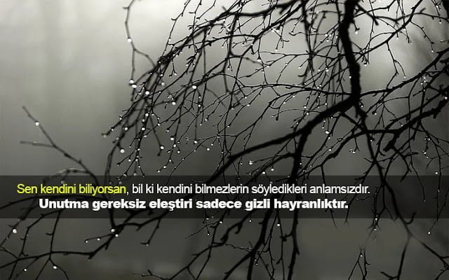 Eleştiri İle İlgili Sözler eleştiri ile ilgili sözler