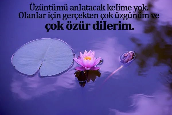 En Güzel Özür Dileme Sözleri En Güzel Özür Dileme Sözleri