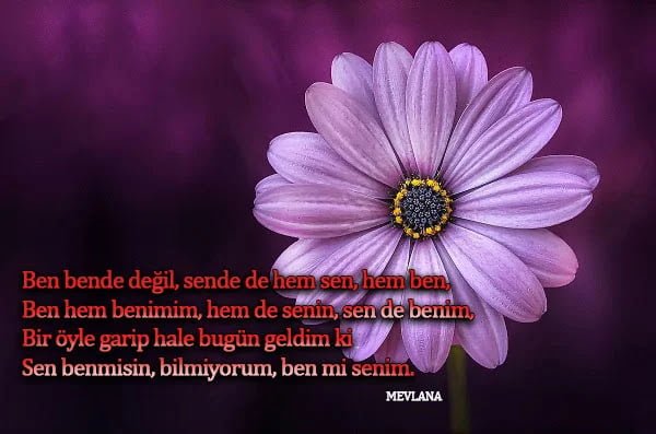 Hz Mevlana Aşk Şiirleri / Mevlana Şiirleri