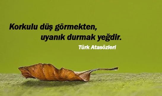En Güzel Türk Atasözleri