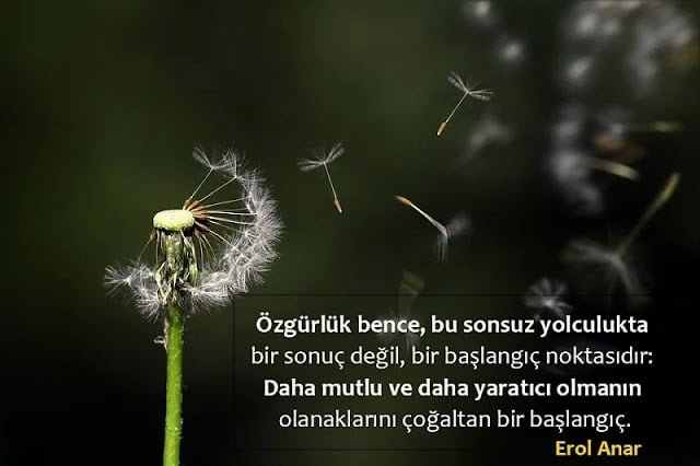 Erol Anar Sözleri Erol Anar sözleri