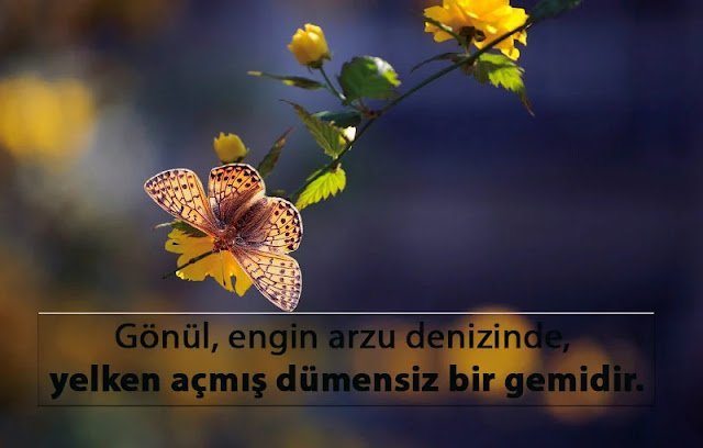 Gönül İle İlgili Sözler gönül ile ilgili sözler