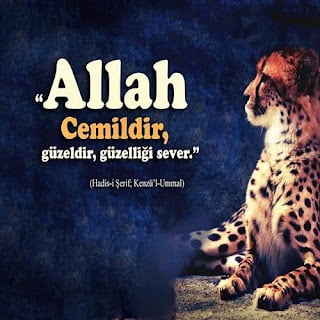 Resimli Dini Sözler Resimli Dini Sözler