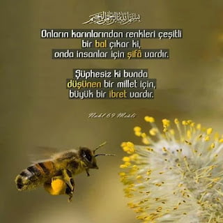 Resimli Dini Sözler Resimli Dini Sözler