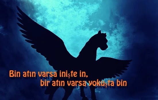 Hayvanlarla İlgili Atasözleri ve Anlamları