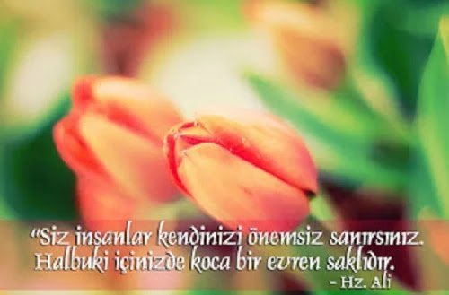 Hz. Ali Sözleri