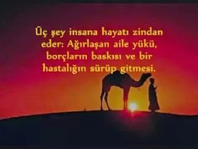 Hz. Ali Sözleri Hz. Ali Sözleri