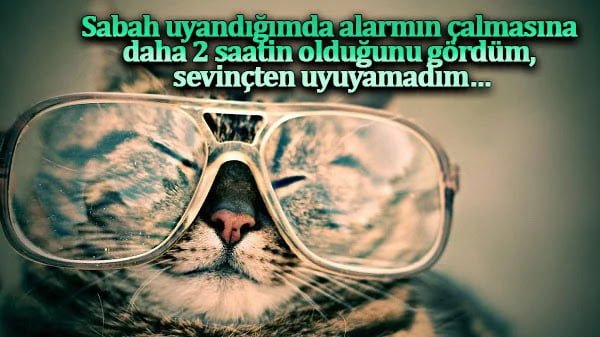 Komik Öğrenci Sözleri
